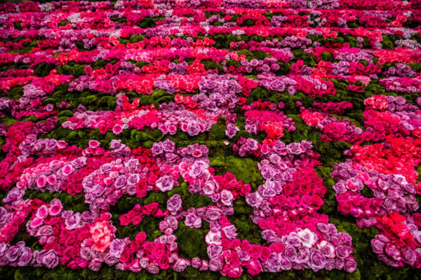 Rose Installation VH1 Dear Mama Mothers Day Special