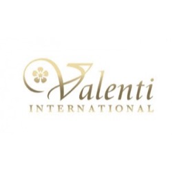 Corporate Matchmaking Event Client Valenti International Logo